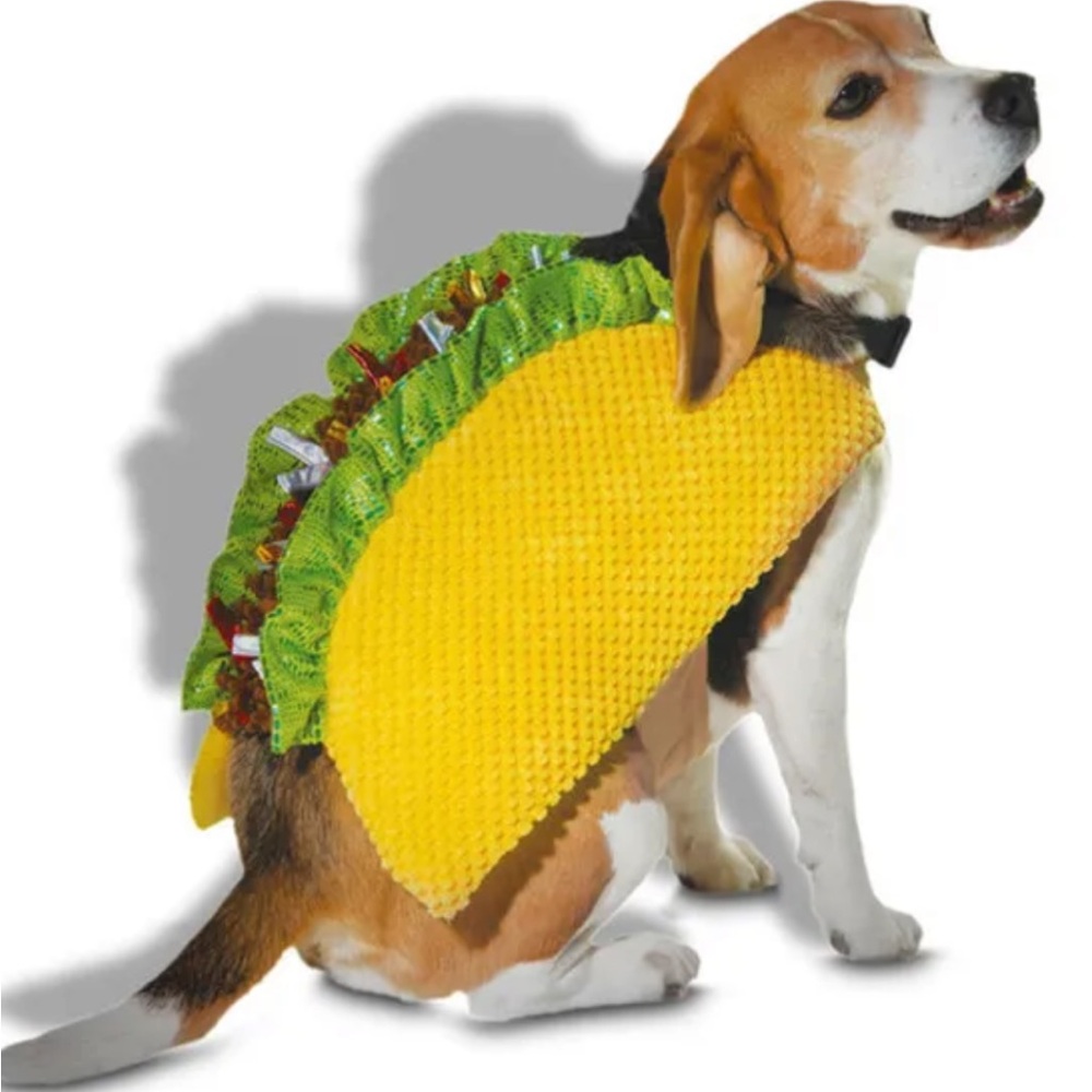 PETS - TACO 🌮 Costume